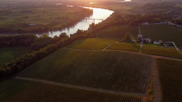 Aerial view Bordeaux Vineyard at sunrise,film by drone in autumn, Entre deux mers, Langoiran. High quality 4k footage
