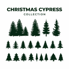 Set of christmas tree or christmas cypress