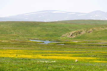 A high-altitude plateau with lush grass and a lake or swamp. The concept of biotope and ecology