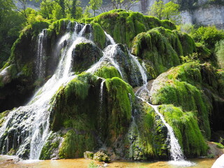 waterfall in the forest