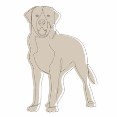 brown dog, sketch, vector, isolated on white background
