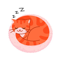 The cat curls up in a circle and takes a nap. Cute yellow cat illustration.