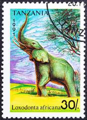 TANZANIA - CIRCA 1991: A stamp printed in Tanzania shows an elephant, circa 1991.