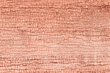 Abstract background of an old cracked board. The trend color is "Calming Coral". Blank for the designer.