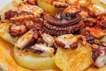 Close-up of fried octopus and boiled potatoes with paprika on plate in a restaurant
