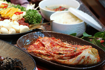 Korean traditional fermented food 'Kimchi'