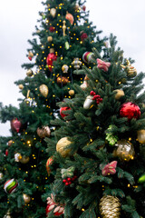 Fototapeta na wymiar Beautiful Christmas trees with lights and balls on a festive city street (close up)