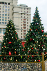 Fototapeta na wymiar Beautiful Christmas trees with lights and balls on a festive city street