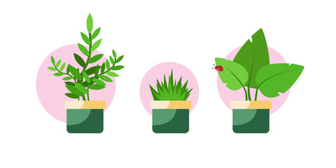 Three pots with growing plants and grass. Icon set. Isolated. Blue background. Flat design. Vector