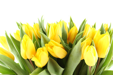 Beautiful Flowers Yellow Tulips Many Flowers Close Up