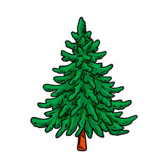 Hand drawn Christmas tree. Vector illustration