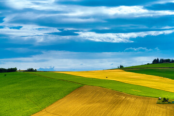 Obraz premium Rural landscape near Ostra Vetere and Cingoli, Marche, Italy