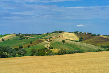 Rural landscape near Ostra Vetere and Cingoli, Marche, Italy