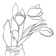 Contour drawing of three tulips tilted to the right. - 471051004