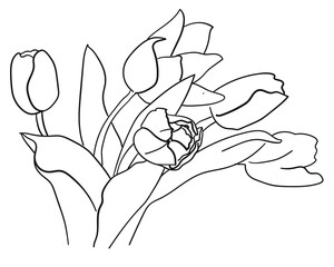 Bouquet of five tulips in black outline - 471051084