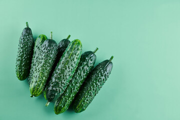 Set of fresh whole cucumbers isolated on a green background, clipping path. Garden cucumber wallpaper backdrop design