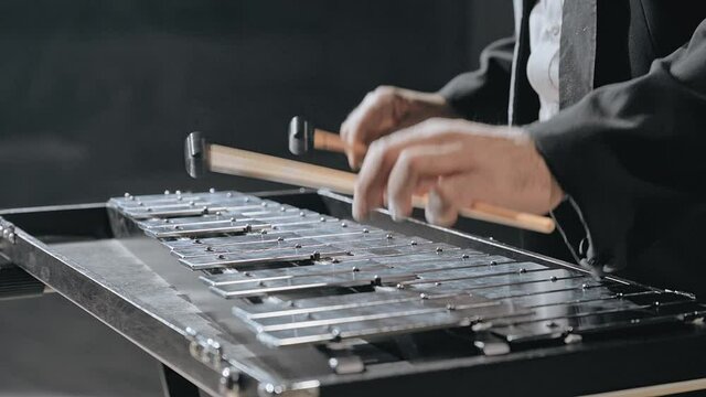 Man musician playing metallophone