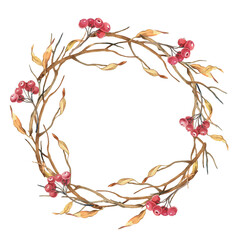 Wreath of dry brunch yellow leaves and rowanberry isolated on white background.