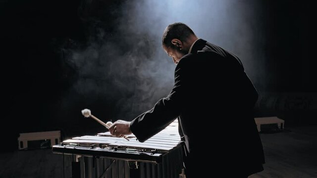 Man musician playing metallophone