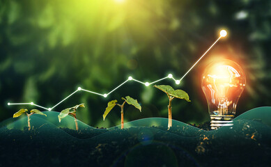 Renewable energy generation is essential in the future. Iluminated light bulb is located on soil...
