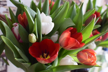Naklejka premium Bouquet of tulips