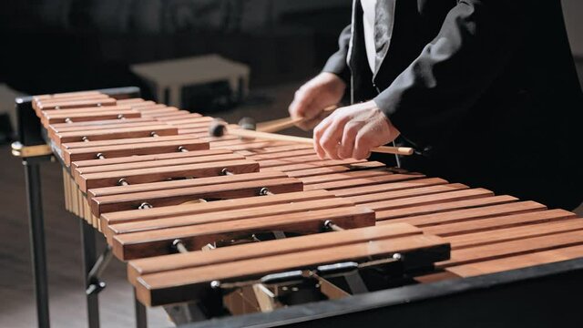 Musician man playing xylophone or marimba