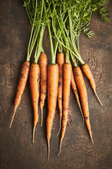 Raw and fresh organic carrot roots on wooden textured kitchen background