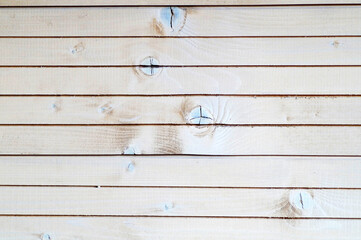 Texture of whitewashed boards bonded together