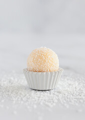 Tradicional Brigadeiro Gourmet de Coco 