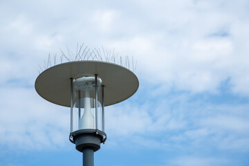 Moderne Stra&szlig;enlaterne mit Taubenschutz