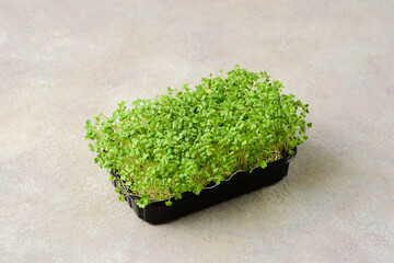 Broccoli microgreens on a dark background.