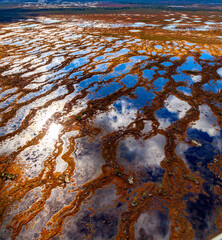 Aerial view of the nature abstract pattern of marsh