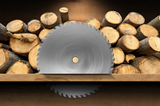 Close-up of a metal circular saw blade in motion and a pile of pine tree trunks on background. Carpentry and Lumber industry concept.