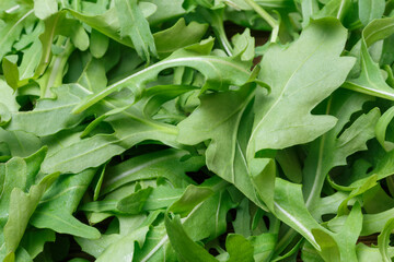 Green leafy vegetable healthy vitamin salad Eruca vesicaria arugula cabbage family close-up, food vegetable background