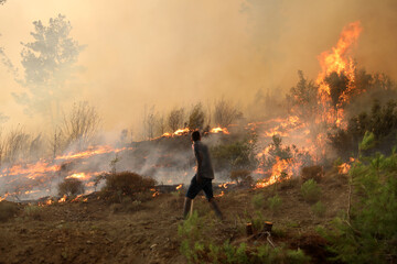forest fire and people responding to the fire