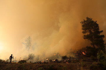 forest fire and people responding to the fire