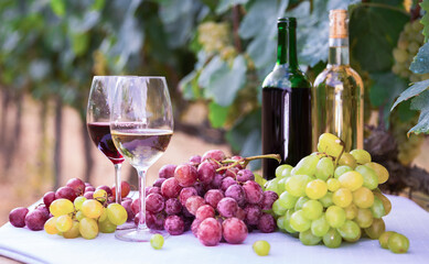 Bunches of red and white grapes, glasses with wine on a table in grape fields