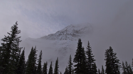 Stunning view of rugged Mount Edith Cavell with snow-covered rock face through low clouds in autumn...