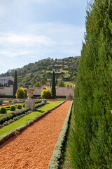 Obraz premium The majestic beauty of the Bahai Garden, located on Mount Carmel in the city of Haifa, in northern Israel