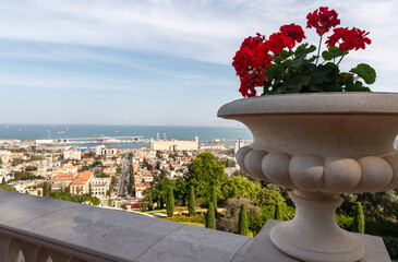 A decorative stone flowerpot with geraniums stands on the railing of the terrace in the Bahai Garden, located on Mount Carmel in the city of Haifa, in northern Israel