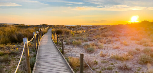 Fototapeta premium beautiful wooden path to the beach at sunset