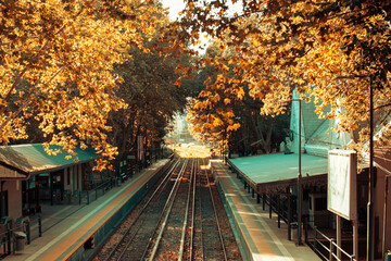 Buenos Aires , Autumn,  2019.