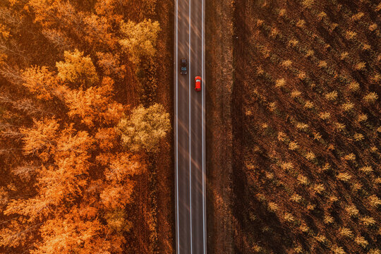 Aerial shot of two cars passing by each other on the road through deciduous forest in fall afternoon