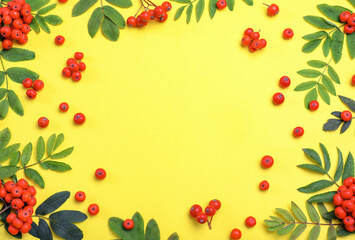 Frame of fresh ripe rowan berries and green leaves on yellow background, flat lay. Space for text