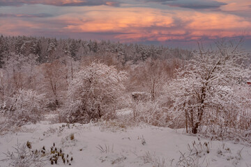 Colorful winter sunset, all the trees are covered in snow, beautiful sky with clouds, more snow