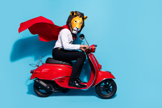 Full length profile side photo of authentic guy in lion mask ride scooter festive theme event party isolated over blue color background