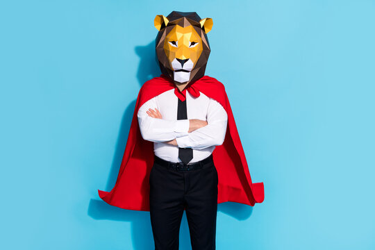 Photo of successful strong guy lion mask theme surreal occasion preparation isolated over blue color background