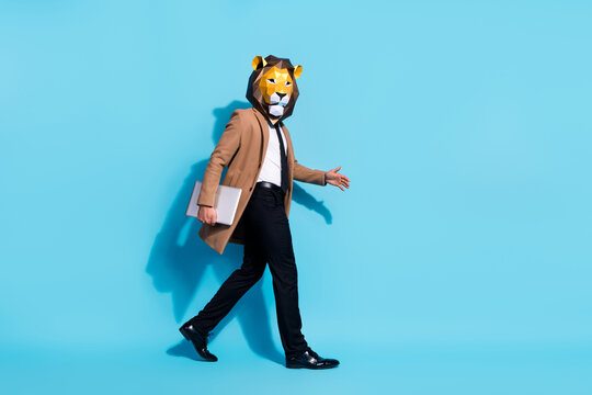 Full size profile side photo of success emloyer guy lion mask go hold netbook theme occasion showman isolated over blue color background