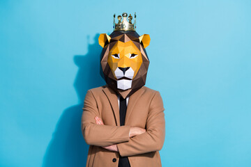 Photo of bizarre identity guy wear lion mask cross hands prepare theme party event service isolated...