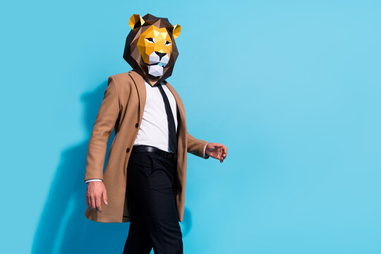 Profile side photo of bizarre freak crazy guy wear lion mask go mystical funky event isolated over blue color background